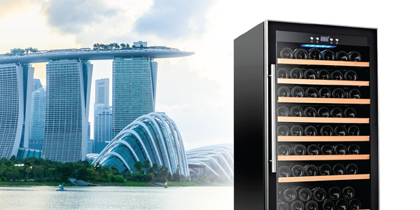 What is the Difference Between Storing Wine in a Wine Fridge vs. Room Temperature in Singapore?