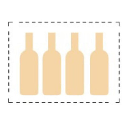 Wine Emotion 4 Bottles Back Bar Wine Dispenser – Quattro Easy