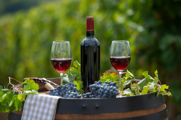 How Wine Is Prepared: From Vineyard to Glass