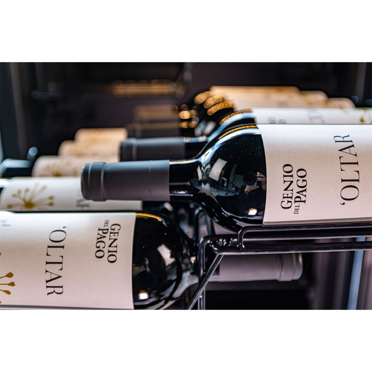 Chateau 36 Bot Wine Cabinet