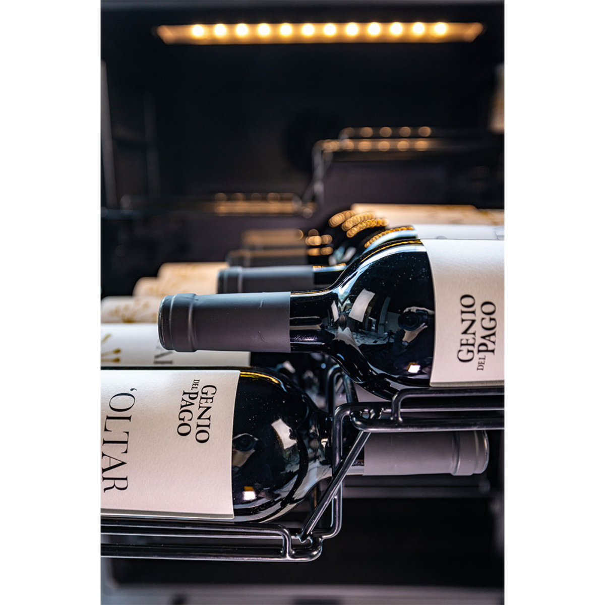 Chateau 36 Bot Wine Cabinet