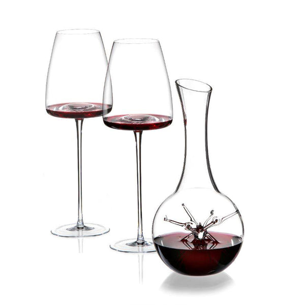 Zieher Star Mini Decanter & Vision Straight Wine Glasses Gift Set Bundle